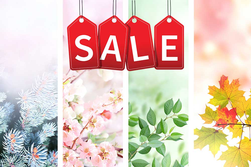 Home 44 Seasonal-Offers-Monaz-Clinic